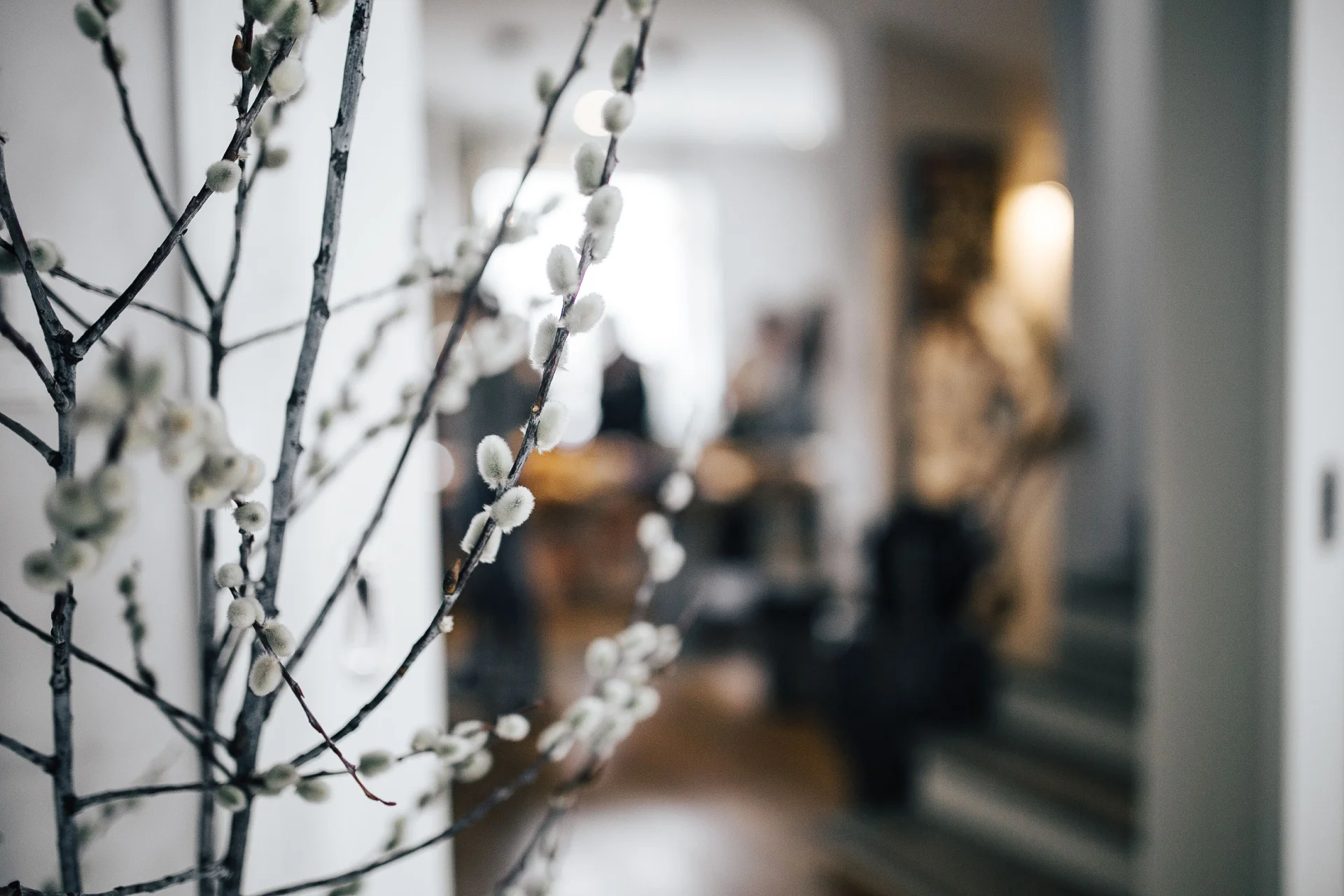 Lighting Essentials: Transforming Your Home with Ambient Lighting